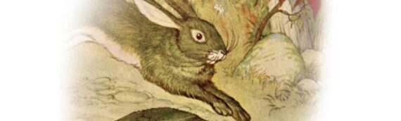 The Tortoise & The Hare Complete